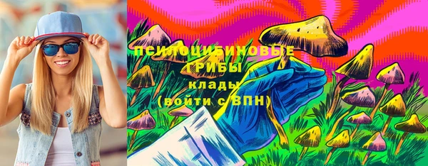 метадон Гусь-Хрустальный