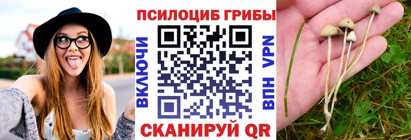 Купить закладки  Белинский  Псилоцибиновые грибы ЛСД 